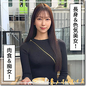Hoi384jp